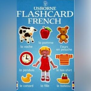 Usborne Everyday Words 49 Flashcards (English - French) By Lisa Miles Litchfield